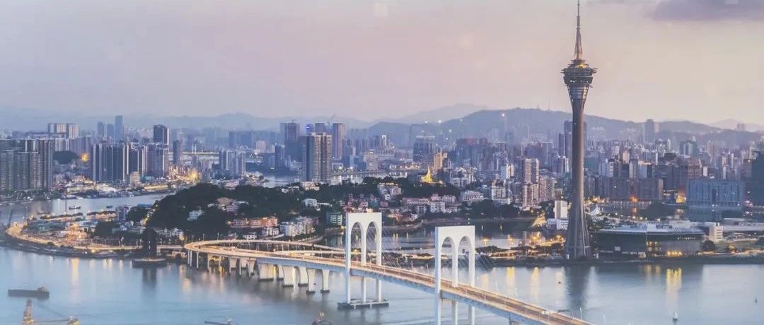 今晚澳门必中一肖一码香港，揭秘彩票预测背后的秘密