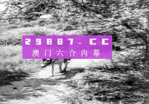新澳门资料大全最新版本更新内容解析