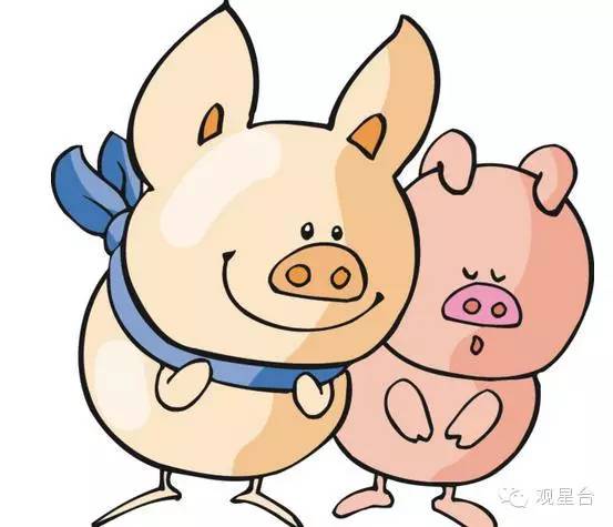 探索精选之魅力，揭秘118图库管家婆的独特之处