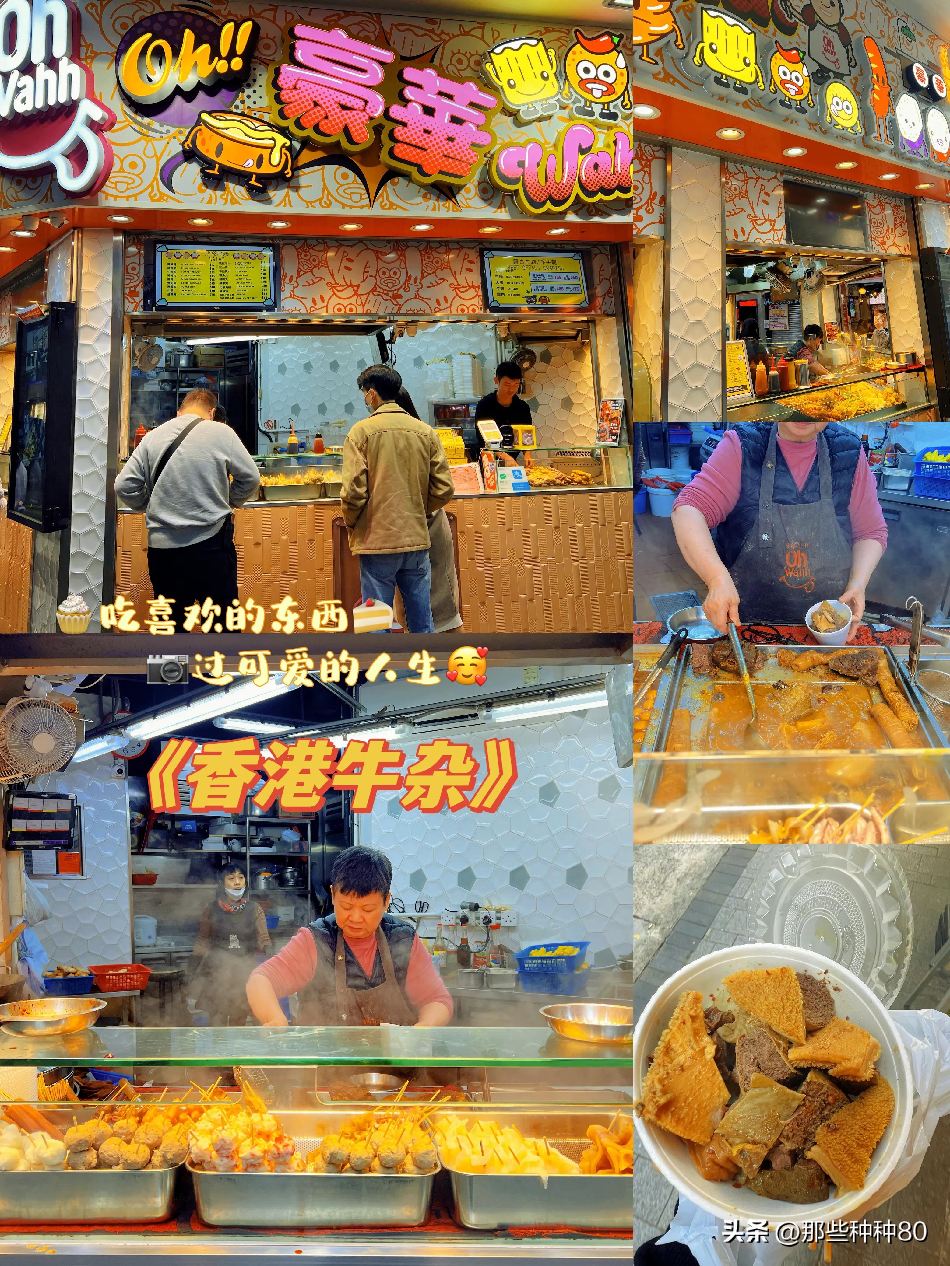 2023香港资料大全免费，探索香港的无限魅力与机遇