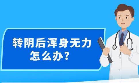 新澳精准资料免费提供，探索第630期的价值与深度