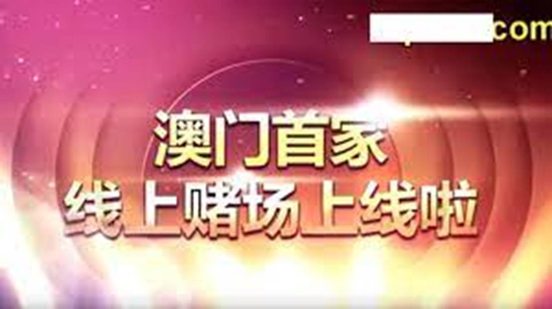 澳门天天免费资料大全下载，探索与体验