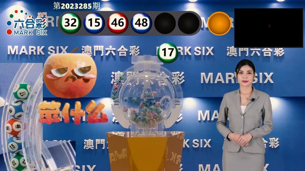 澳门码开奖记录，探索与解析