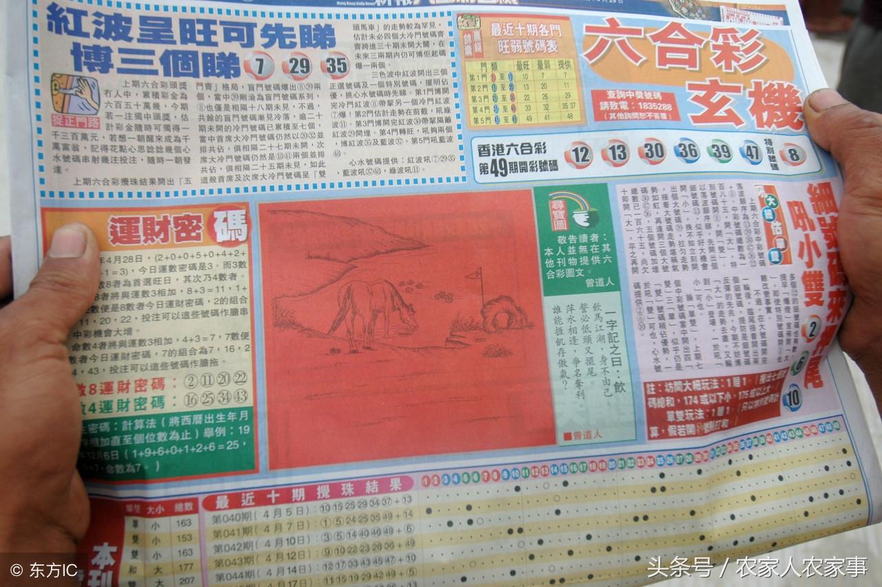 六和彩图库，探索、发现与分享的艺术空间