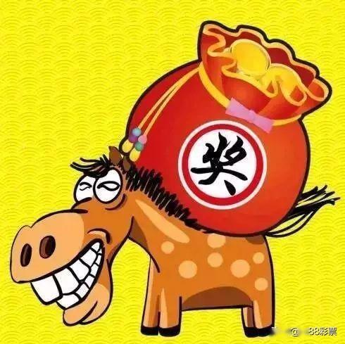 揭秘澳门码，今晚开奖结果的期待与探索