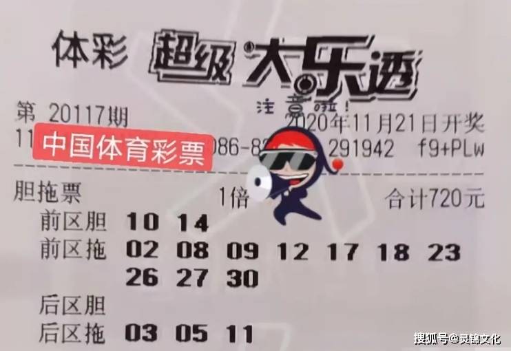 新奥今天开奖结果查询—彩票背后的故事与期待