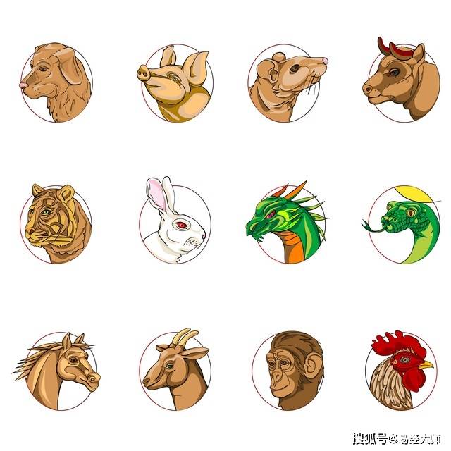 今晚9点30分的生肖开启，探寻神秘生肖之旅