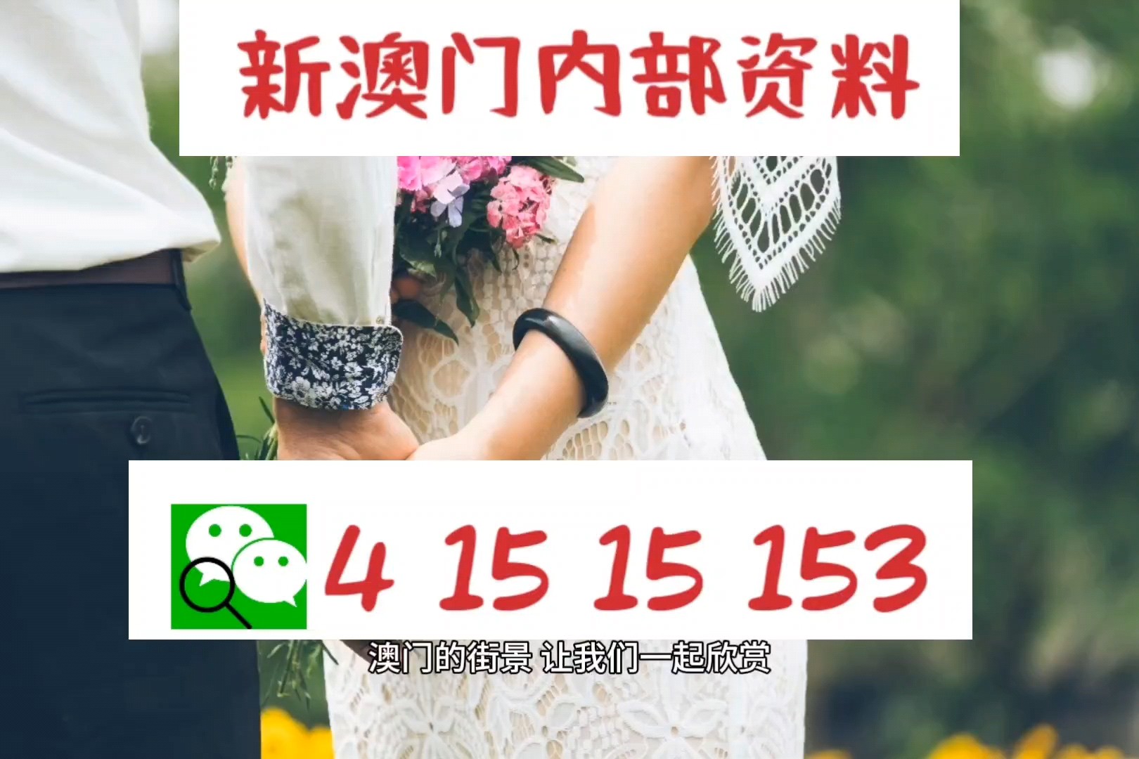 澳门今晚一肖码精准预测，揭秘管家娶的神秘面纱与未来趋势分析