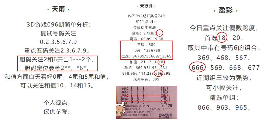 澳门码开奖记录，探索与解析