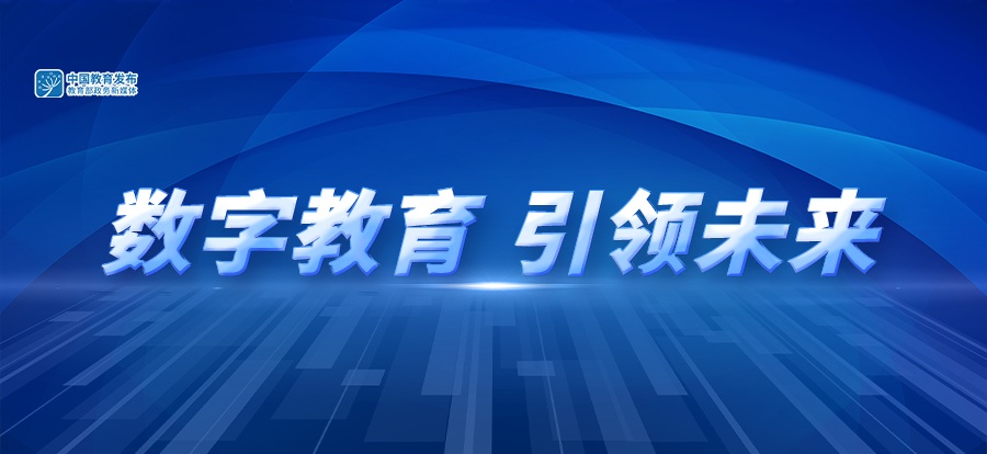 探索数字世界的新门户，13262.cc