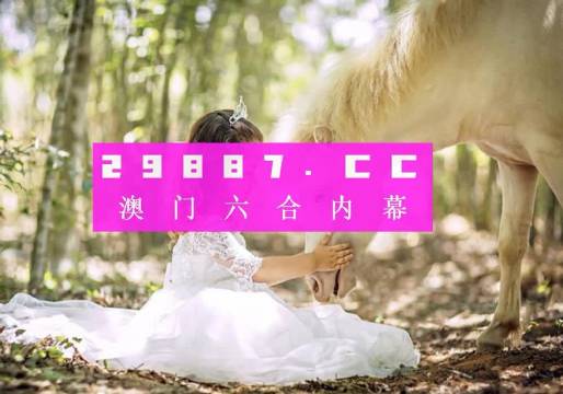 澳门六网站资料查询，探索与解析