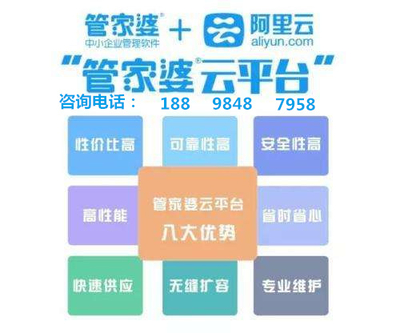 管家婆全年资料，深度解析与实用指南