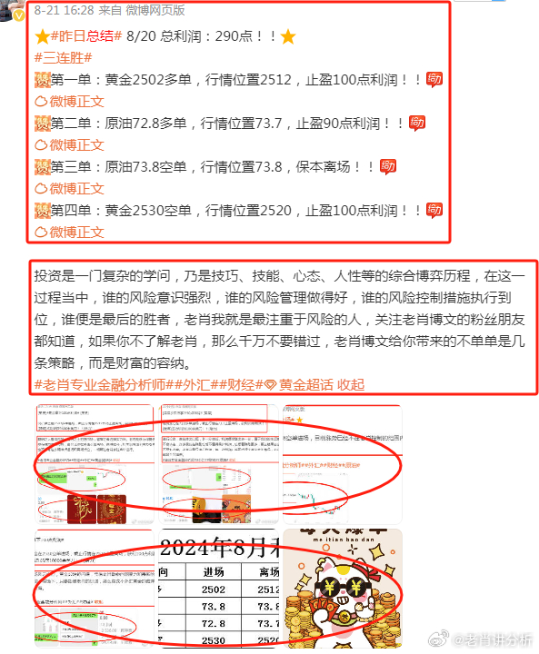 澳门正版大全，探索2023年管家婆资料的世界