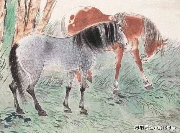 揭秘2019年特马生肖图，寓意深远的历史文化与独特象征意义
