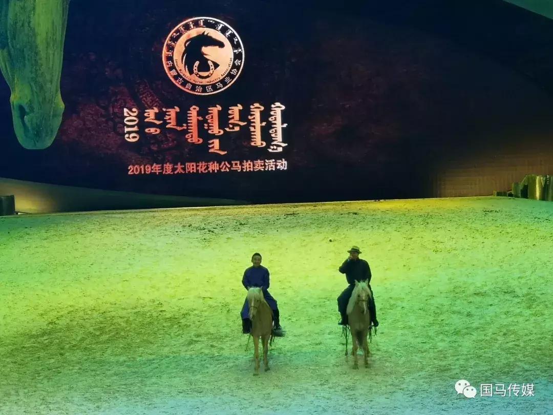 探索马会世界，2019正版资料深度解析