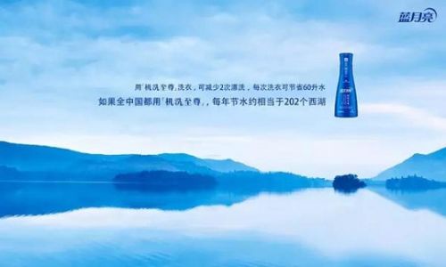 蓝月亮心水论坛，探索、交流与成长的乐园