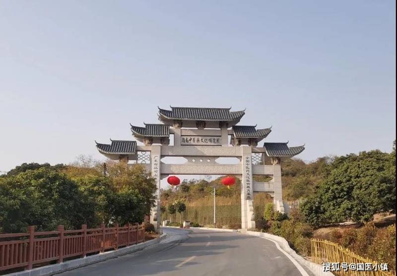 广西狼论坛，地域文化与网络交流的融合之地