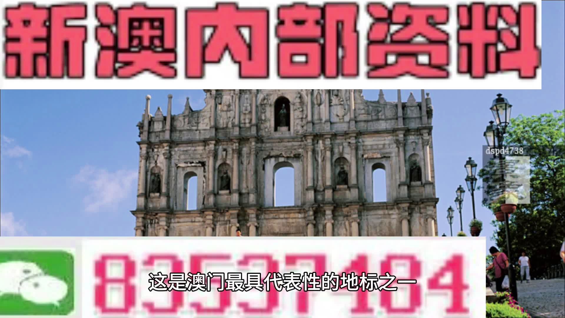 澳门免费资料查询结果，探索未来的可能性与机遇