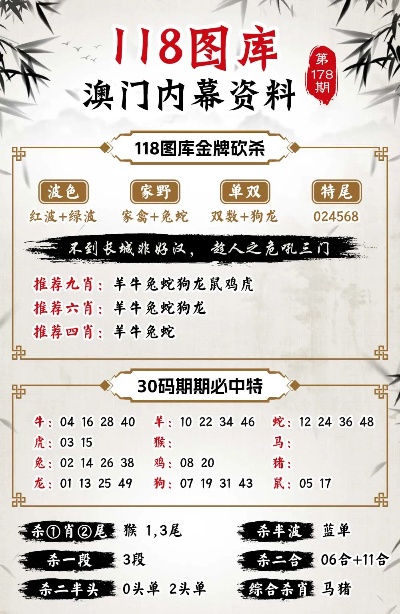 澳彩管家婆资料传真，探索未来的彩票新世界