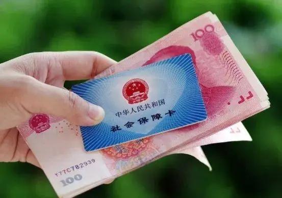 2024正版资料大全免费，一站式获取优质资源的全新体验