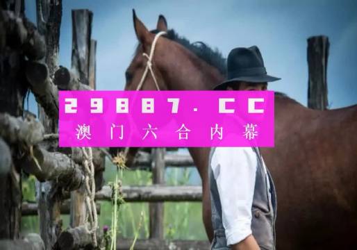 澳门彩资料网站大全，探索与解析