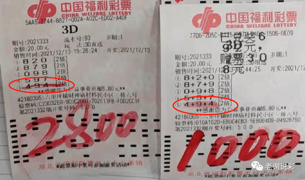 新澳天天开奖资料大全三中三，探索彩票世界的奥秘与机遇