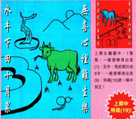 澳门精准免费资料大全聚侠网，探索与解析