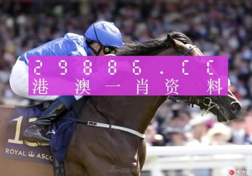 澳门马会正版资料查询—探索真实信息的门户