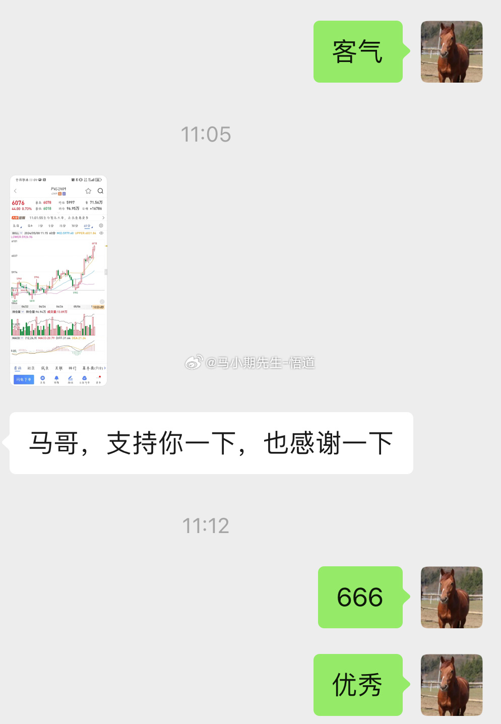 小马哥心水论坛，探索与交流的平台