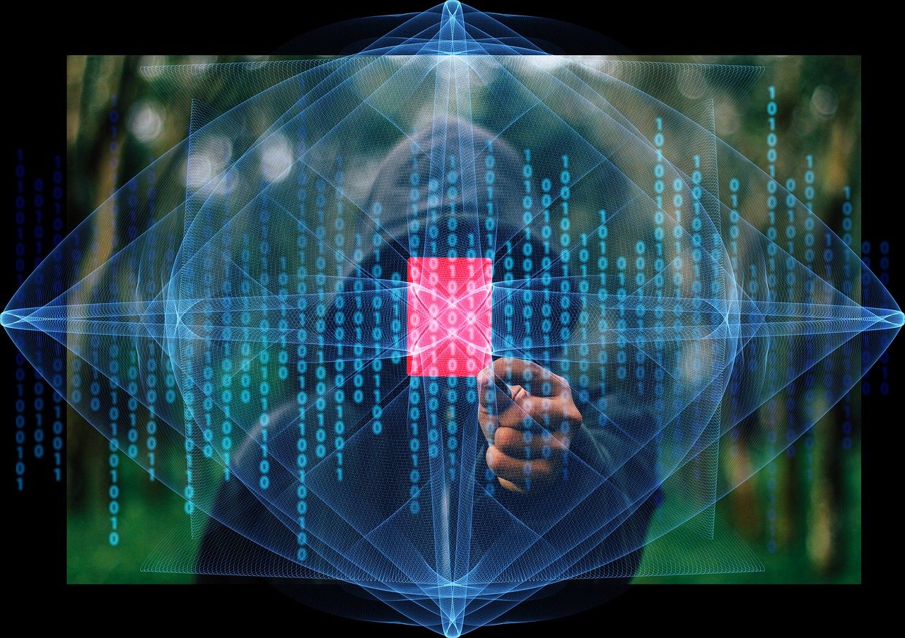 探索www.293520.com，数字世界的神秘门户