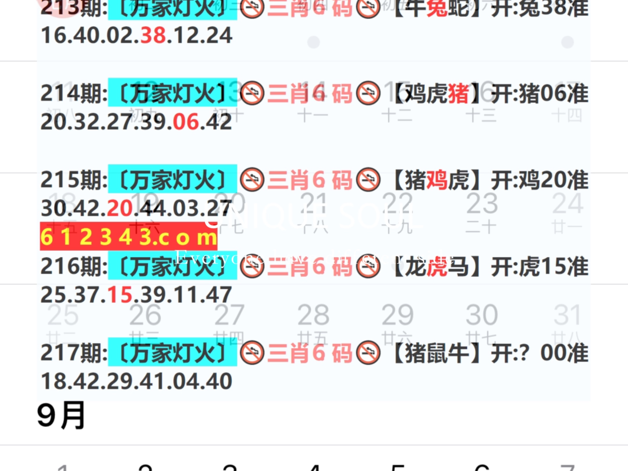蓝月亮四肖八码精选资料解析与应用
