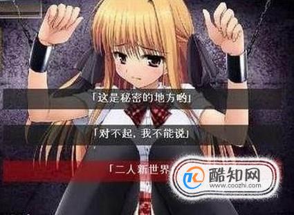监禁少女Reunion全面攻略，探索重逢的奥秘