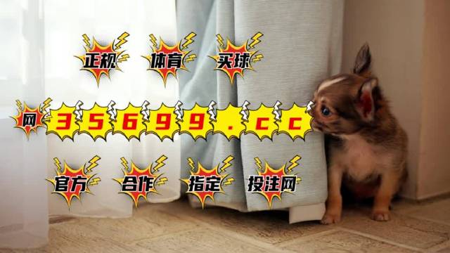 揭秘香港9426，最准最快的资料解析