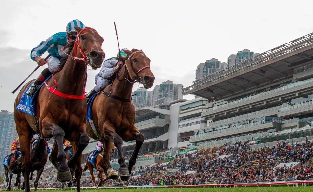 香港马会开奖直播，赛马运动的魅力与现代化体验