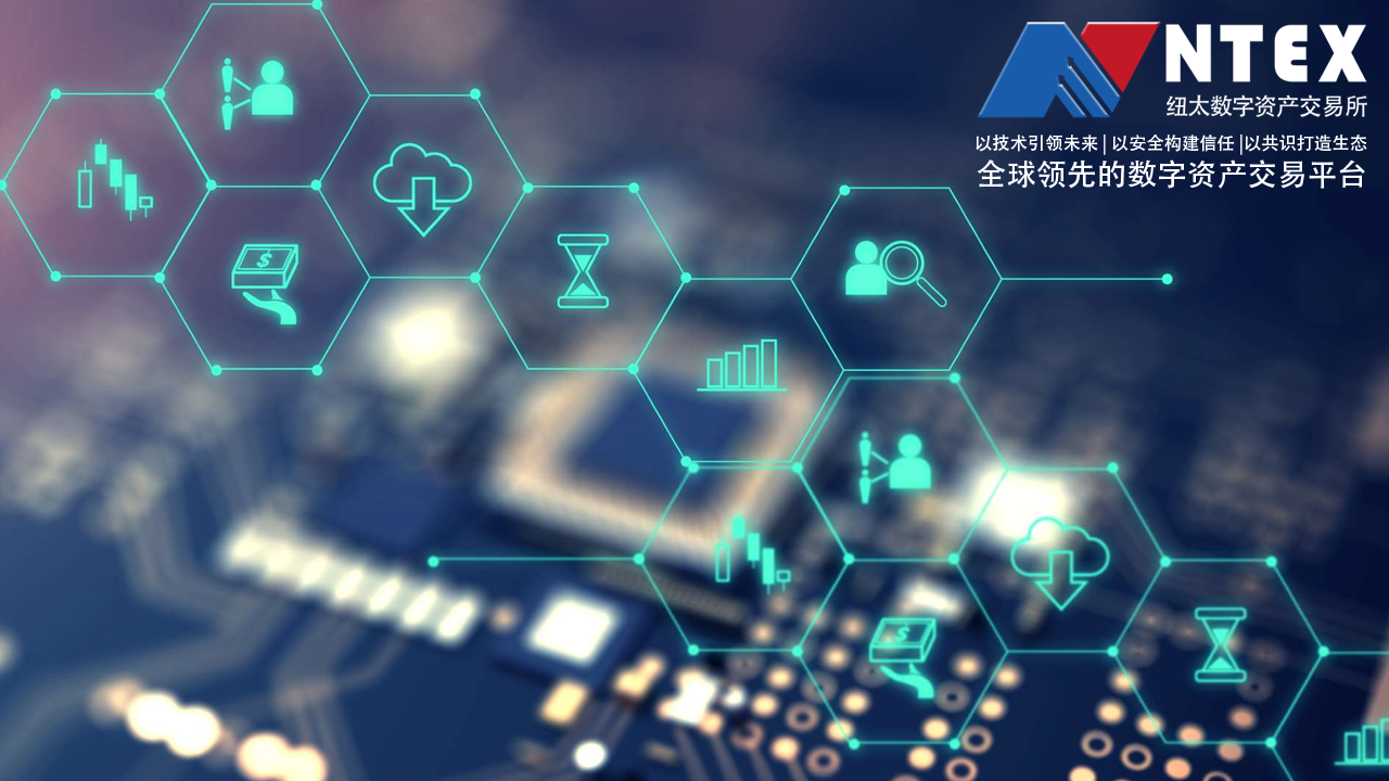 探索WWW493333C0m，数字世界的神秘角落