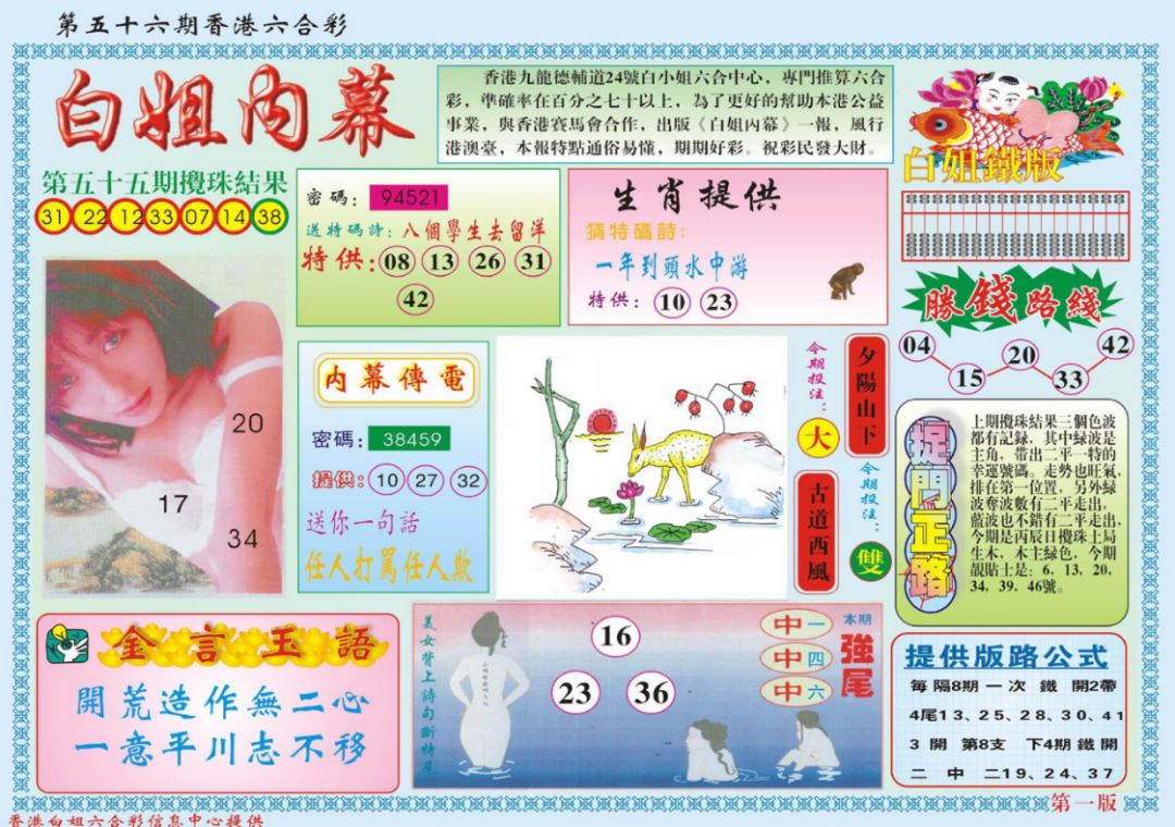 香港大型免费六台彩图库，探索与赏析