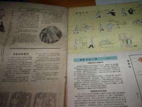 最准确的马报彩图—揭秘彩票预测的真相