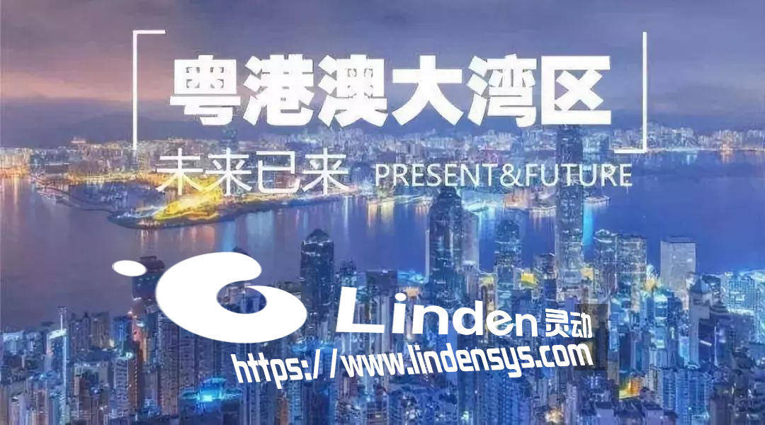 澳门正版资料免费公开，探索未来的机遇与挑战（2023年）
