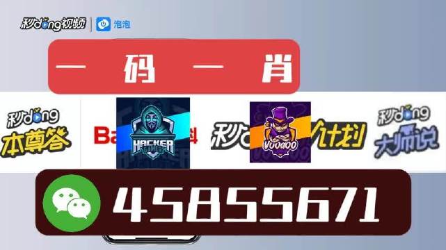 白小姐一肖一码必中一码的秘密与解析
