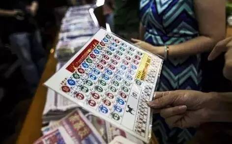 揭秘2023年香港开奖结果，幸运与期待的交汇点