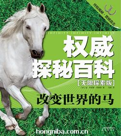 律师 第6页