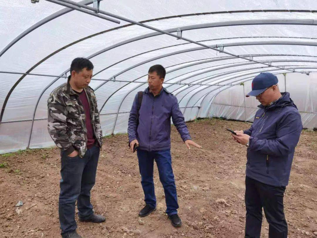 新澳门最快开奖结果开奖，探索与期待