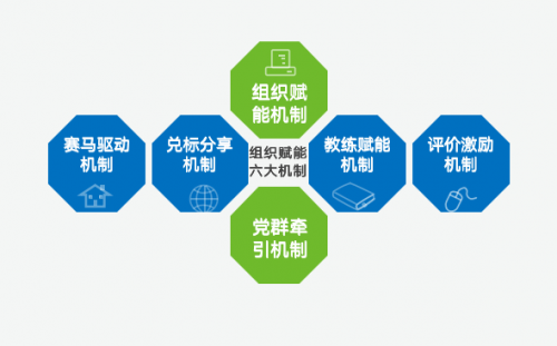 新奥天天正版资料大全，探索与解析