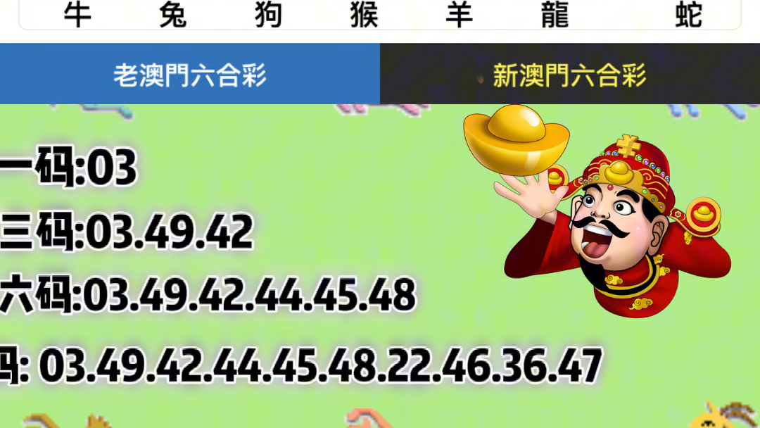 新澳门最快开奖结果开奖，探索与解析
