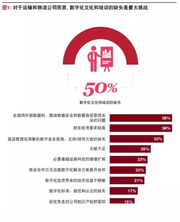 正版四不像，探索数字时代的文化现象与版权保护之路
