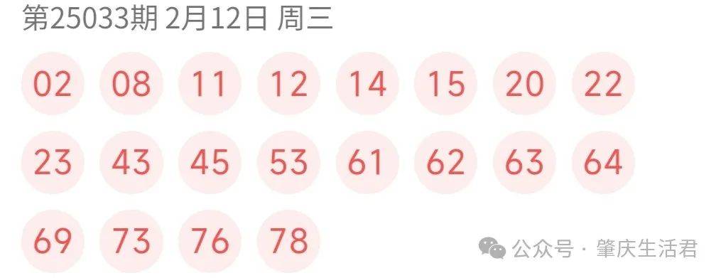 澳门66期开奖情况查询表最新消息，揭秘彩票背后的故事