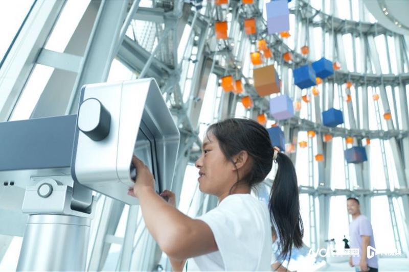 澳门66期开奖结果查询结果汇总分析最新版